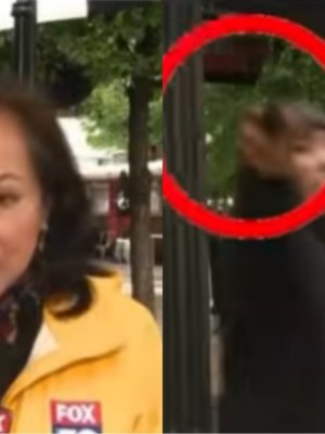 Man points gun at Chicago at  TV crew during a live broadcast on gun&nbsp;violence
